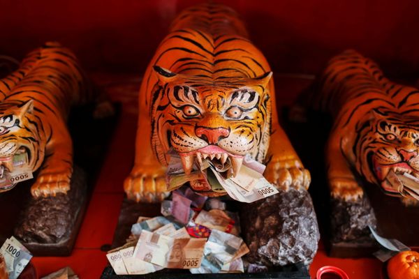 Celebration of Lunar New Year Across the World - Sputnik International