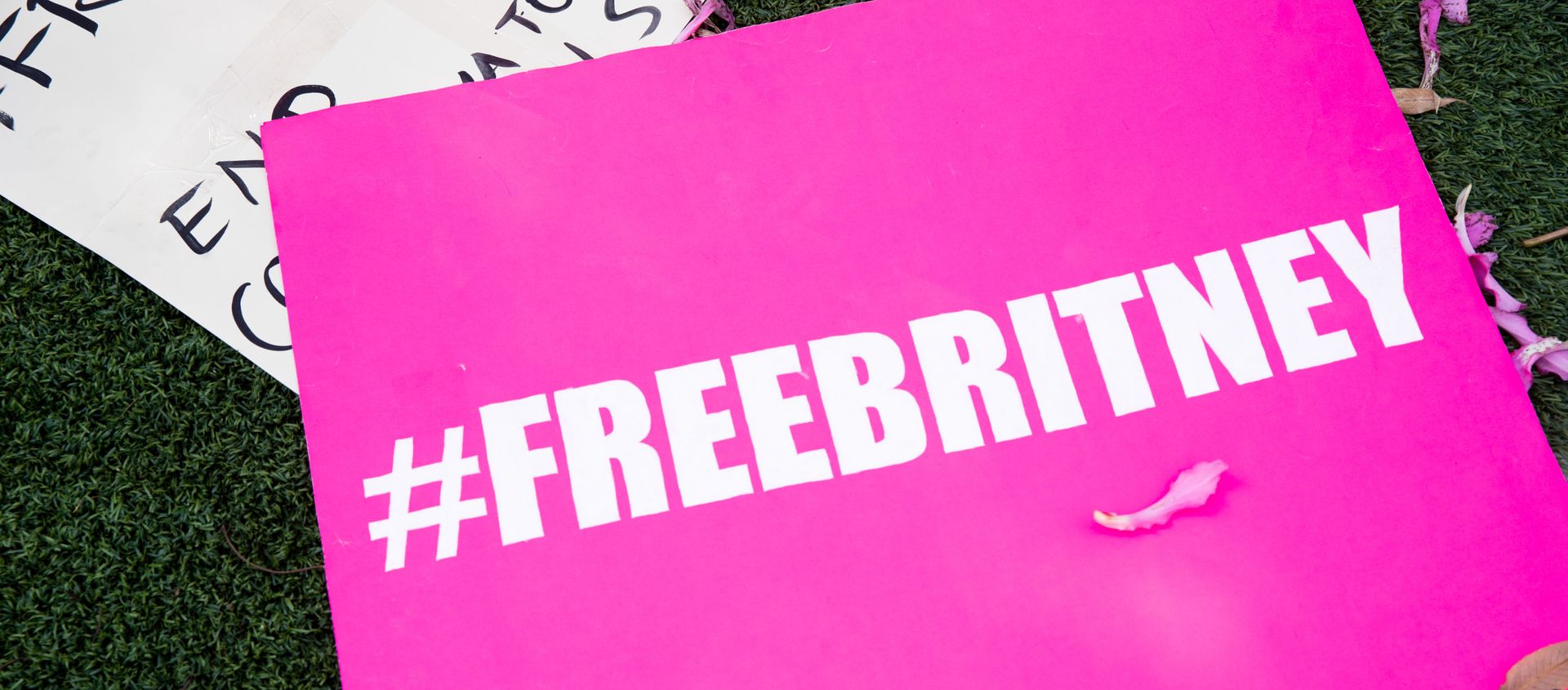 Signs in support of Britney Spears are seen during a #FreeBritney protest Signs in support of Britney Spears are seen during a #FreeBritney protest - Sputnik International, 1920, 10.03.2021
