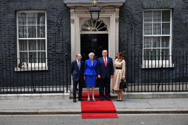 Larry, No.10's 'Chief Mouser', Celebrates 10 Years at Downing Street - Sputnik International