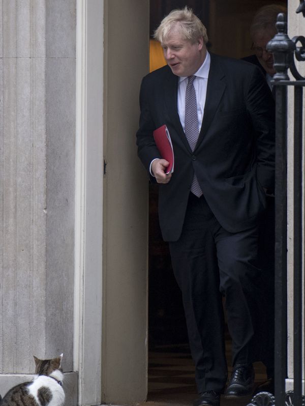 Larry, No.10's 'Chief Mouser', Celebrates 10 Years at Downing Street - Sputnik International