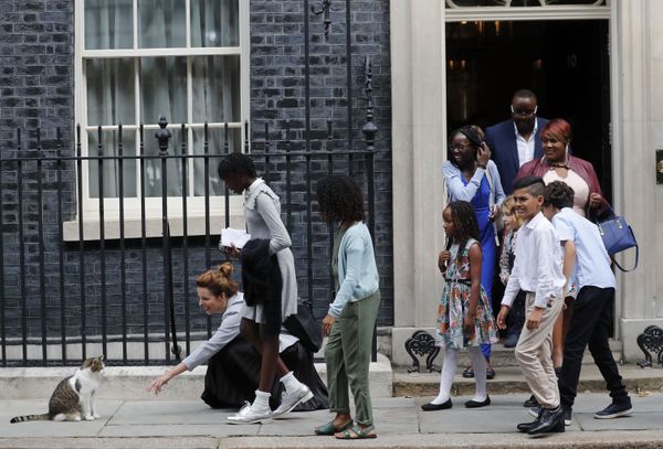 Larry, No.10's 'Chief Mouser', Celebrates 10 Years at Downing Street - Sputnik International
