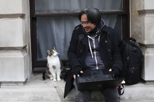 Larry, No.10's 'Chief Mouser', Celebrates 10 Years at Downing Street - Sputnik International