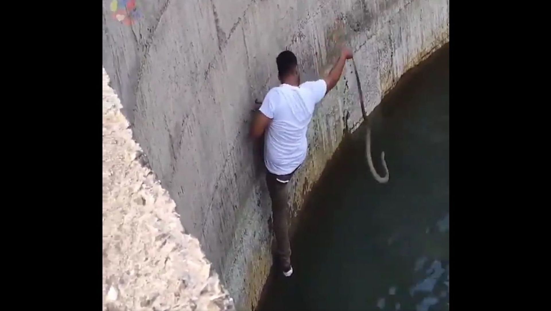 Man jumps into well to save a cobra from drowning Man jumps into well to save a cobra from drowning - Sputnik International, 1920, 16.02.2021