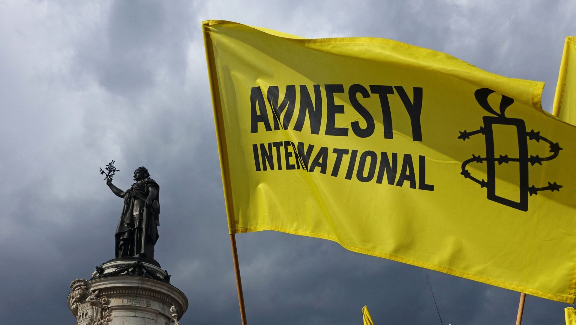 Demonstrators wave Amnesty International flag during a protest in solidarity with migrants at Place de la Republique in Paris on September 5, 2015 Demonstrators wave Amnesty International flag during a protest in solidarity with migrants at Place de la Republique in Paris on September 5, 2015 - Sputnik International, 1920, 24.02.2021