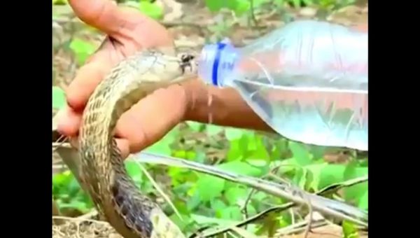 Love & water... - Sputnik International