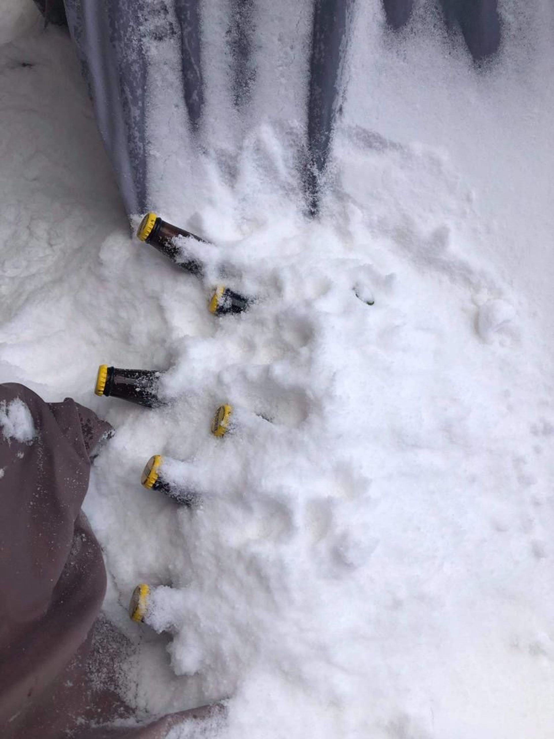 Texas Residents Share Stories of Withstanding Snow 'Armageddon' - Sputnik International, 1920, 17.02.2021