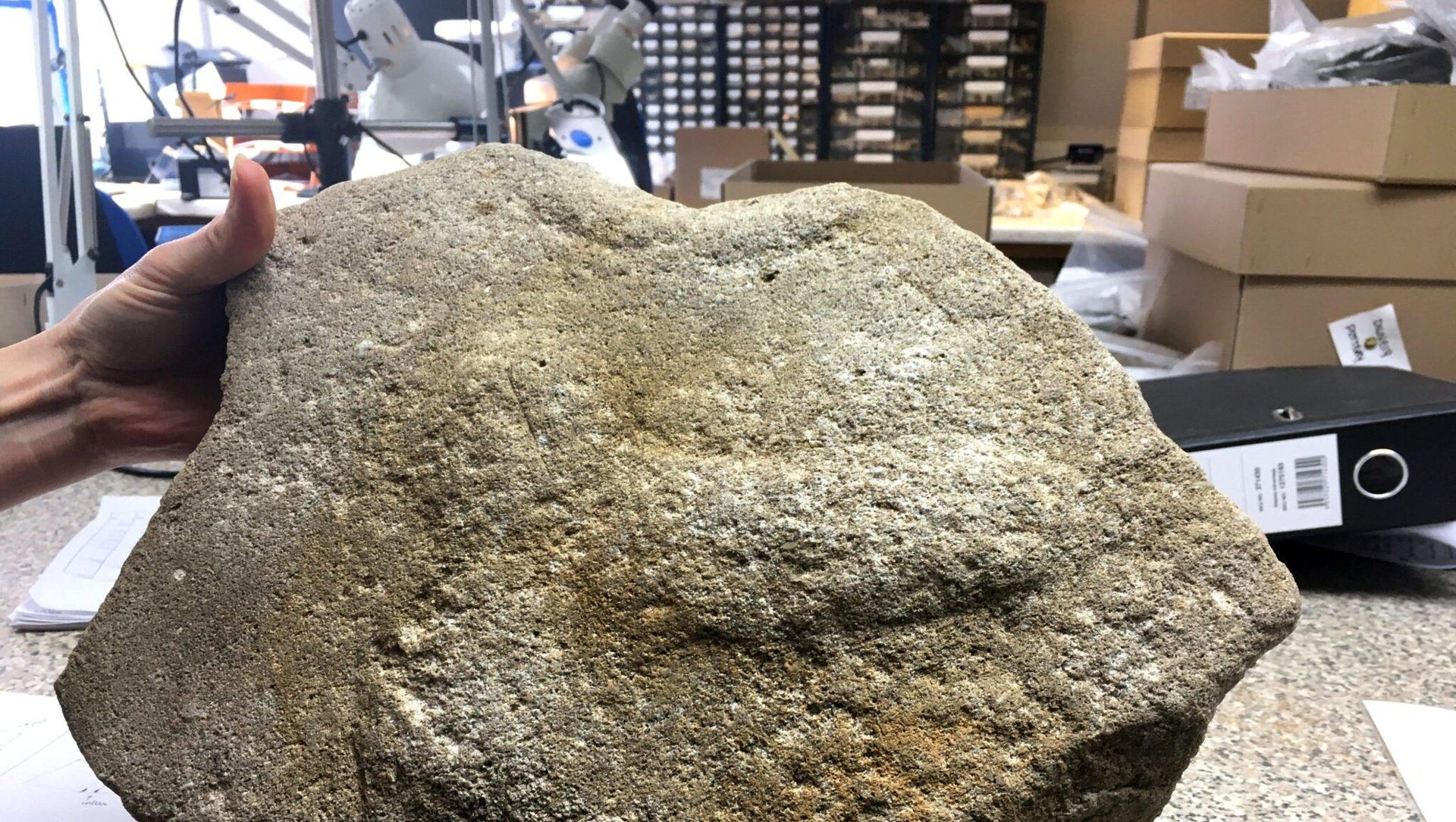 Ancient Grindr. Millstone with phallus found during roadwork. Ancient Grindr. Millstone with phallus found during roadwork. - Sputnik International, 1920, 20.02.2021