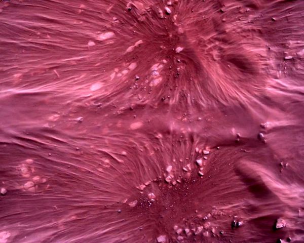 First High-Resolution Photos of Martian Surface Taken by Perseverance Rover - Sputnik International