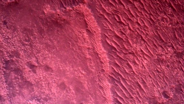 The surface of Mars directly below NASA's Mars Perseverance rover is seen using the Rover Down-Look Camera  - Sputnik International