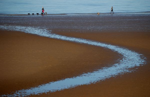 People walk their dogs along the beach at New Brighton, England, 22 February 2021. People walk their dogs along the beach at New Brighton, England, 22 February 2021. - Sputnik International