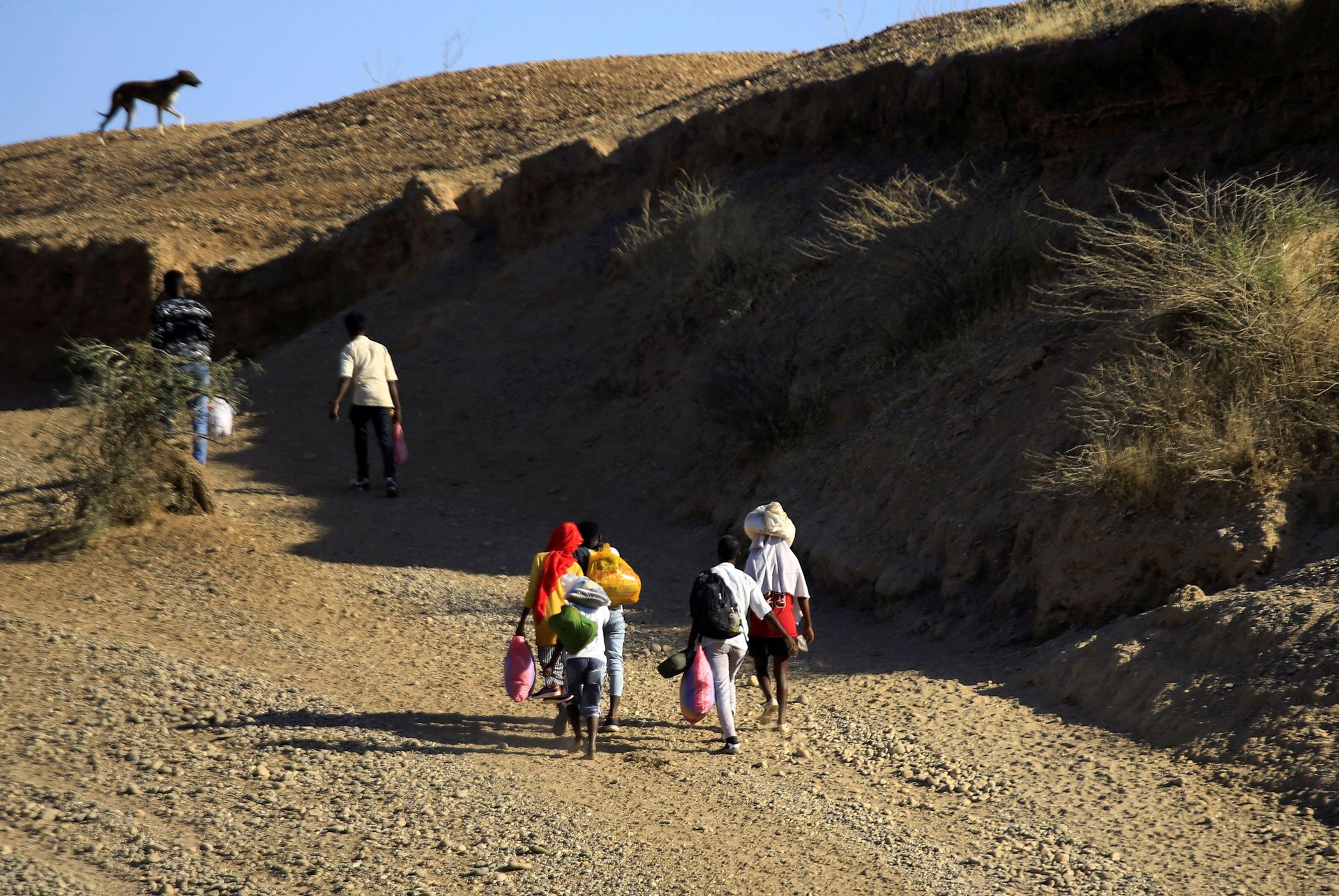 Ethiopia Violence Persists Amid Reports of Hundreds Killed Last Year in 'Ark of the Covenant' Town - Sputnik International, 1920, 27.02.2021