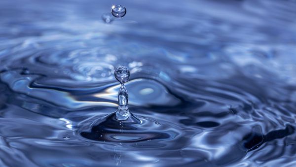 Rain drop - Sputnik International