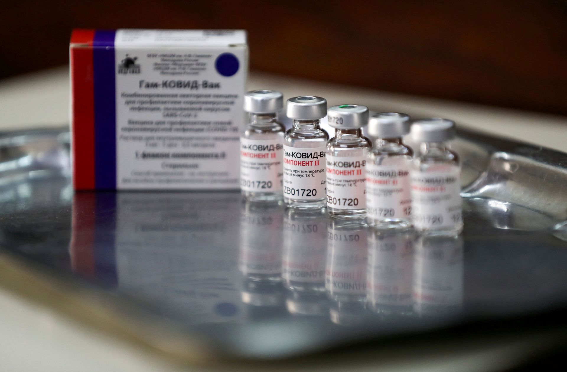 Russia Submitted All Documents for COVID-19 Vaccine Registration in EU Russia Submitted All Documents for COVID-19 Vaccine Registration in EU - Sputnik International, 1920, 16.03.2021