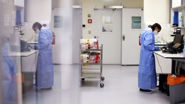 A technician is reflected in a surface as she works at Healthcare Maintenance Organisation (HMO) Maccabi's coronavirus disease (COVID-19) public laboratory, performing diverse and numerous tests, in Rehovot, Israel February 9, 2021. - Sputnik International