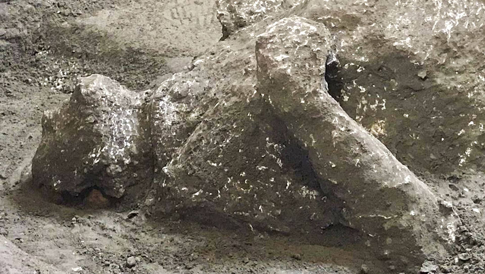 The casts of one of two bodies that are believed to have been a rich man and his male slave fleeing the volcanic eruption of Vesuvius nearly 2,000 years ago, are seen in what was an elegant villa on the outskirts of the ancient Roman city of Pompeii destroyed by the eruption in 79 A.D., where they were discovered during recents excavations, Pompeii archaeological park officials said Saturday, Nov. 21, 2020 The casts of one of two bodies that are believed to have been a rich man and his male slave fleeing the volcanic eruption of Vesuvius nearly 2,000 years ago, are seen in what was an elegant villa on the outskirts of the ancient Roman city of Pompeii destroyed by the eruption in 79 A.D., where they were discovered during recents excavations, Pompeii archaeological park officials said Saturday, Nov. 21, 2020 - Sputnik International, 1920, 22.03.2021