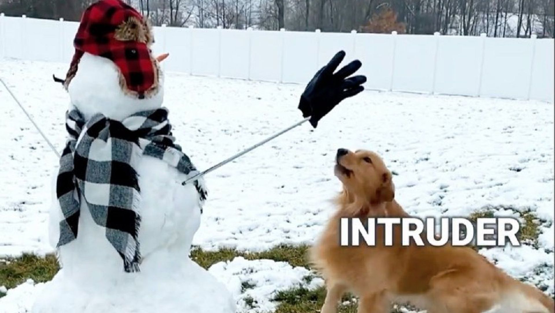 Snowman Snowman - Sputnik International, 1920, 05.03.2021