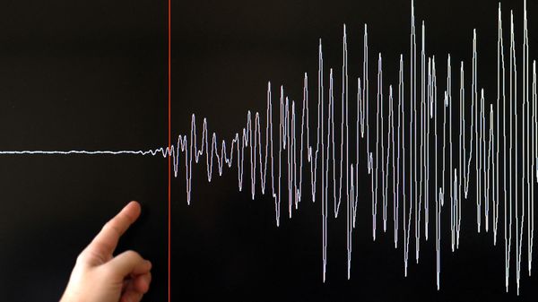 Earthquake seismograph diagram - Sputnik International