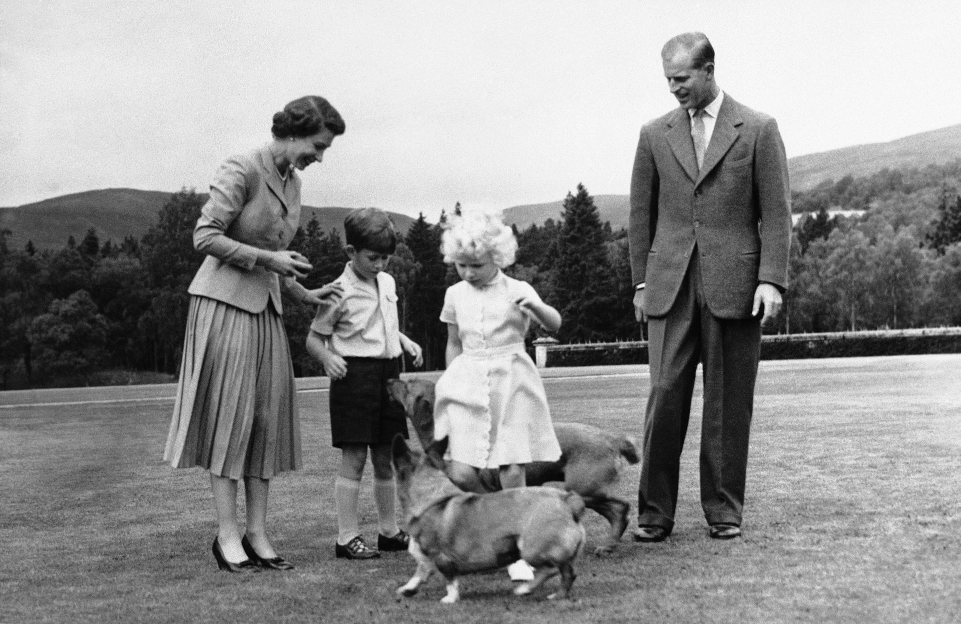 Windsor Castle Gets Corgi Puppies to Cheer Up Queen Amid Royal Crisis With Meghan Markle - Report - Sputnik International, 1920, 05.03.2021