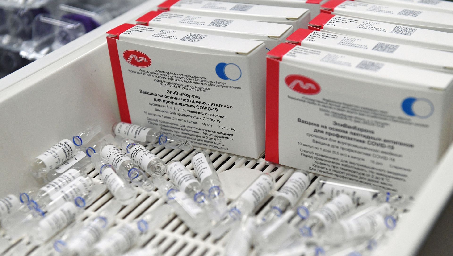 A view shows packages of Russian coronavirus vaccine EpiVacCorona, developed by the Vektor State Research Center of Virology and Biotechnology, at the production unit Vector-BiAlgam, in Novosibirsk, Russia A view shows packages of Russian coronavirus vaccine EpiVacCorona, developed by the Vektor State Research Center of Virology and Biotechnology, at the production unit Vector-BiAlgam, in Novosibirsk, Russia - Sputnik International, 1920, 05.03.2021