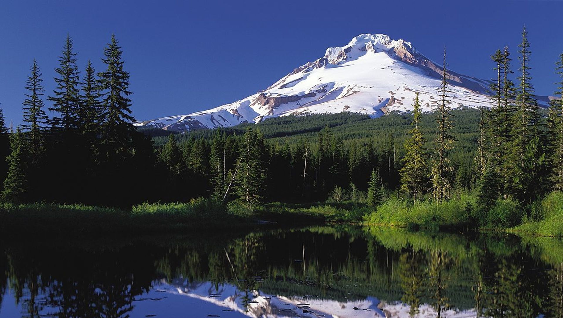 Mount Hood reflected in Mirror Lake, Oregon Mount Hood reflected in Mirror Lake, Oregon - Sputnik International, 1920, 05.03.2021