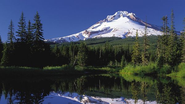 Mount Hood reflected in Mirror Lake, Oregon - Sputnik International