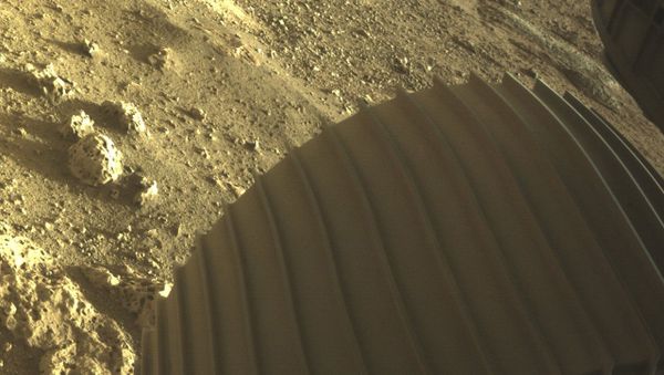 This photo provided by NASA shows one of the six wheels on the Perseverance Mars rover, which landed on Thursday, Feb. 18, 2021.  - Sputnik International