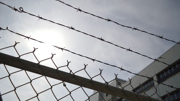 Barbed wire - Sputnik International