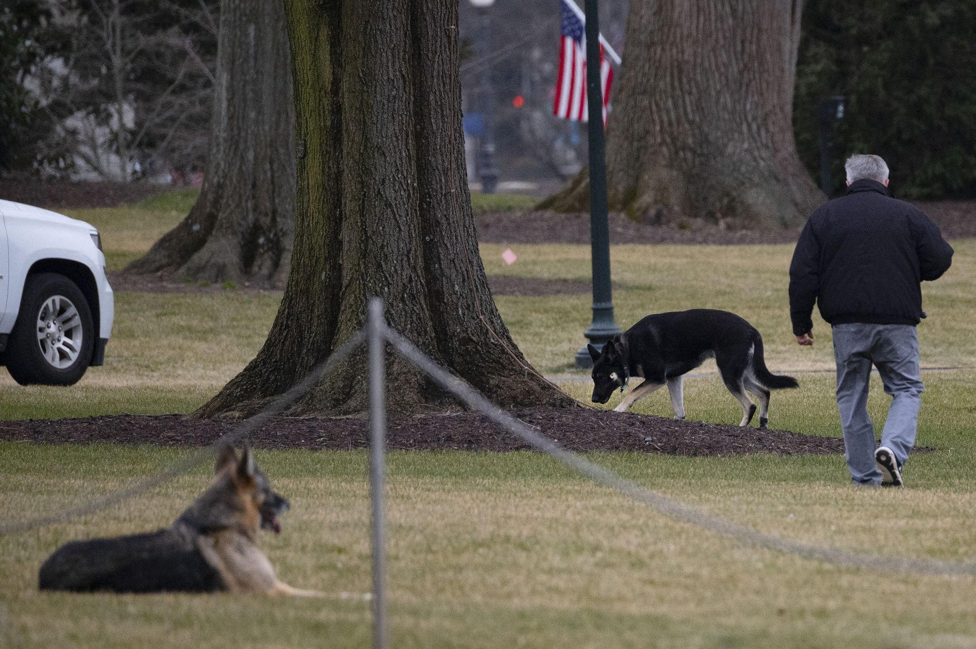 Comeback Kids: Biden Family Dogs Return to White House After Nipping Incident Comeback Kids: Biden Family Dogs Return to White House After Nipping Incident - Sputnik International, 1920, 24.03.2021