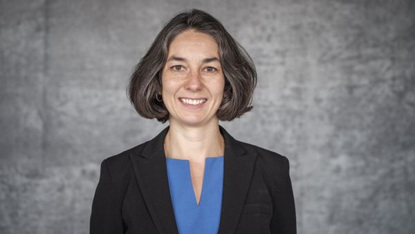 Audrey Truschke - Sputnik International