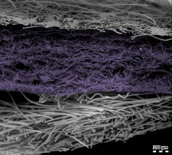 A false-colour image showing a cross-section of one layer of an N95 respirator mask.
 - Sputnik International