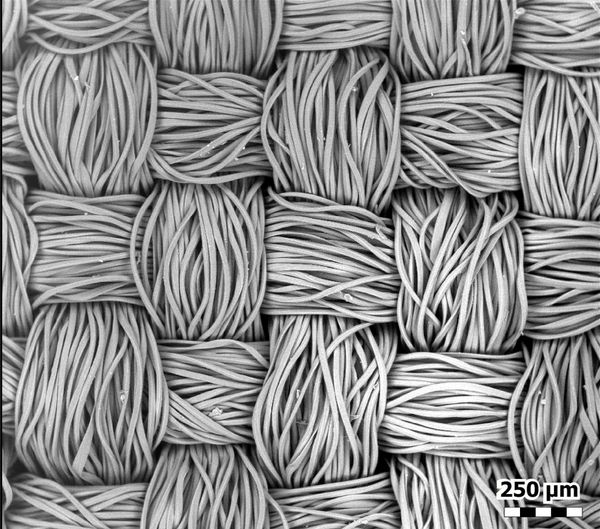 The fibres of a polyester mask seen through a microscope. - Sputnik International