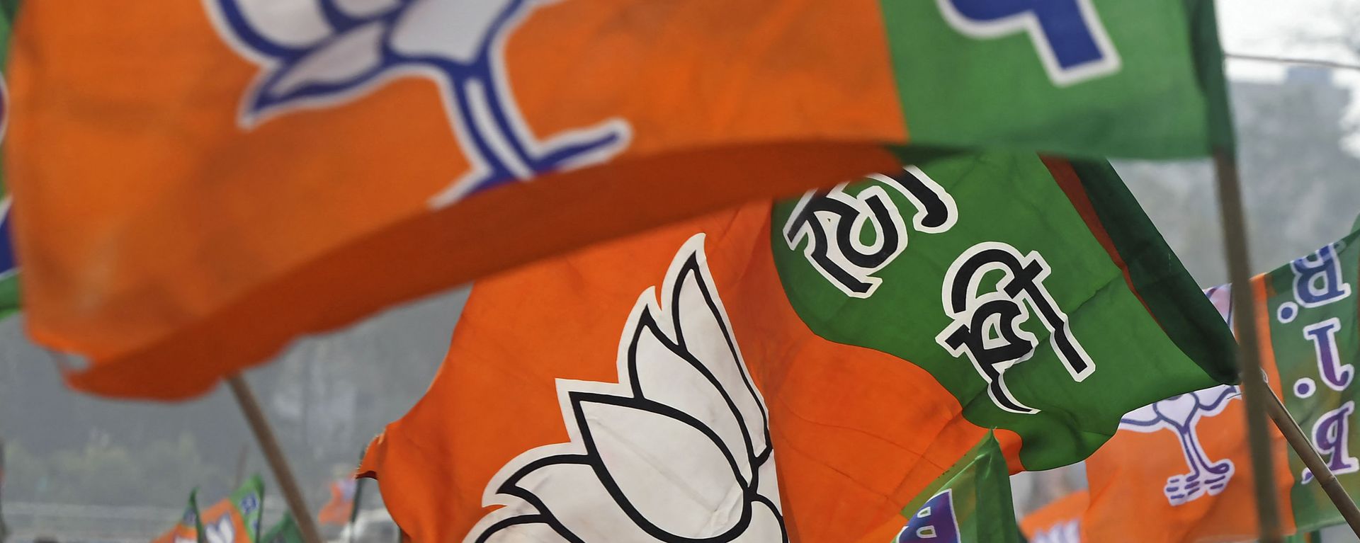 Activists of Bharatiya Janata Party (BJP) wave party flags during a public meeting being attended by the newly joined leaders along with party's national leaders in Howrah on the outskirts of Kolkata on January 31, 2021.  - Sputnik International, 1920, 31.03.2021