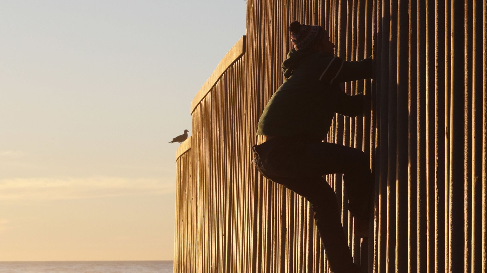 Honduran migrant Jonatan Matamoros Flores, 33, who arrived in October with a migrant caravan, climbs the US border wall to stand atop it before returning to the Mexican side in Tijuana, Mexico, Saturday, 8 December 2018. Honduran migrant Jonatan Matamoros Flores, 33, who arrived in October with a migrant caravan, climbs the US border wall to stand atop it before returning to the Mexican side in Tijuana, Mexico, Saturday, 8 December 2018. - Sputnik International, 1920, 24.03.2021