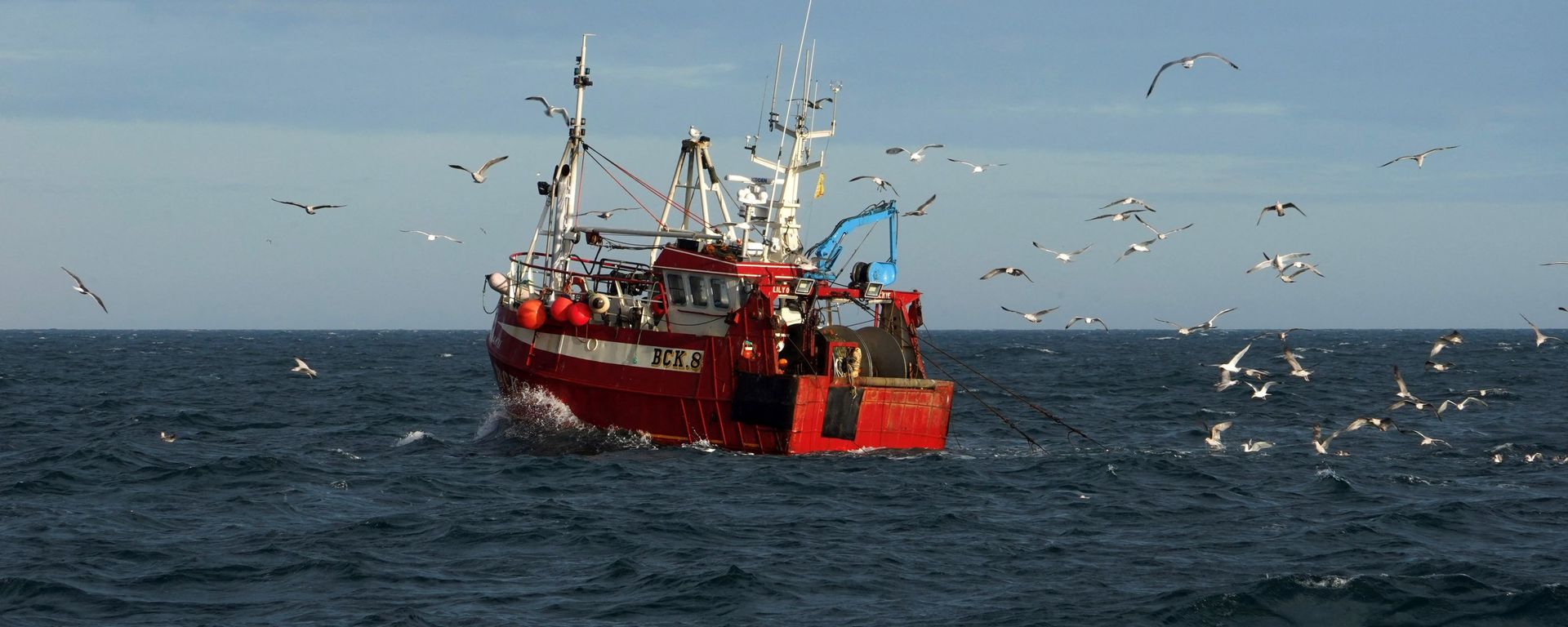 Guls surround a fishing trawler as it works in the North Sea, off the coast of North Shields, in northeast England on January 21, 2020 Guls surround a fishing trawler as it works in the North Sea, off the coast of North Shields, in northeast England on January 21, 2020 - Sputnik International, 1920, 21.02.2022