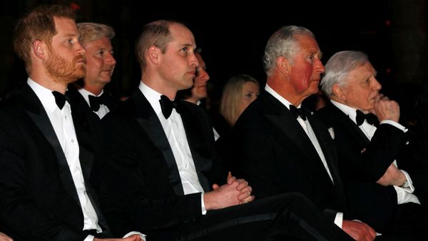 Britain's Prince Harry, Duke of Sussex (L), Britain's Prince William, Duke of Cambridge (3rd L), Britain's Prince Charles, Prince of Wales (2nd R) and British naturalist, documentary maker and broadcaster David Attenborough (R) take their seats for the Global Premiere of Our Planet in London on April 4, 2019. - Sputnik International