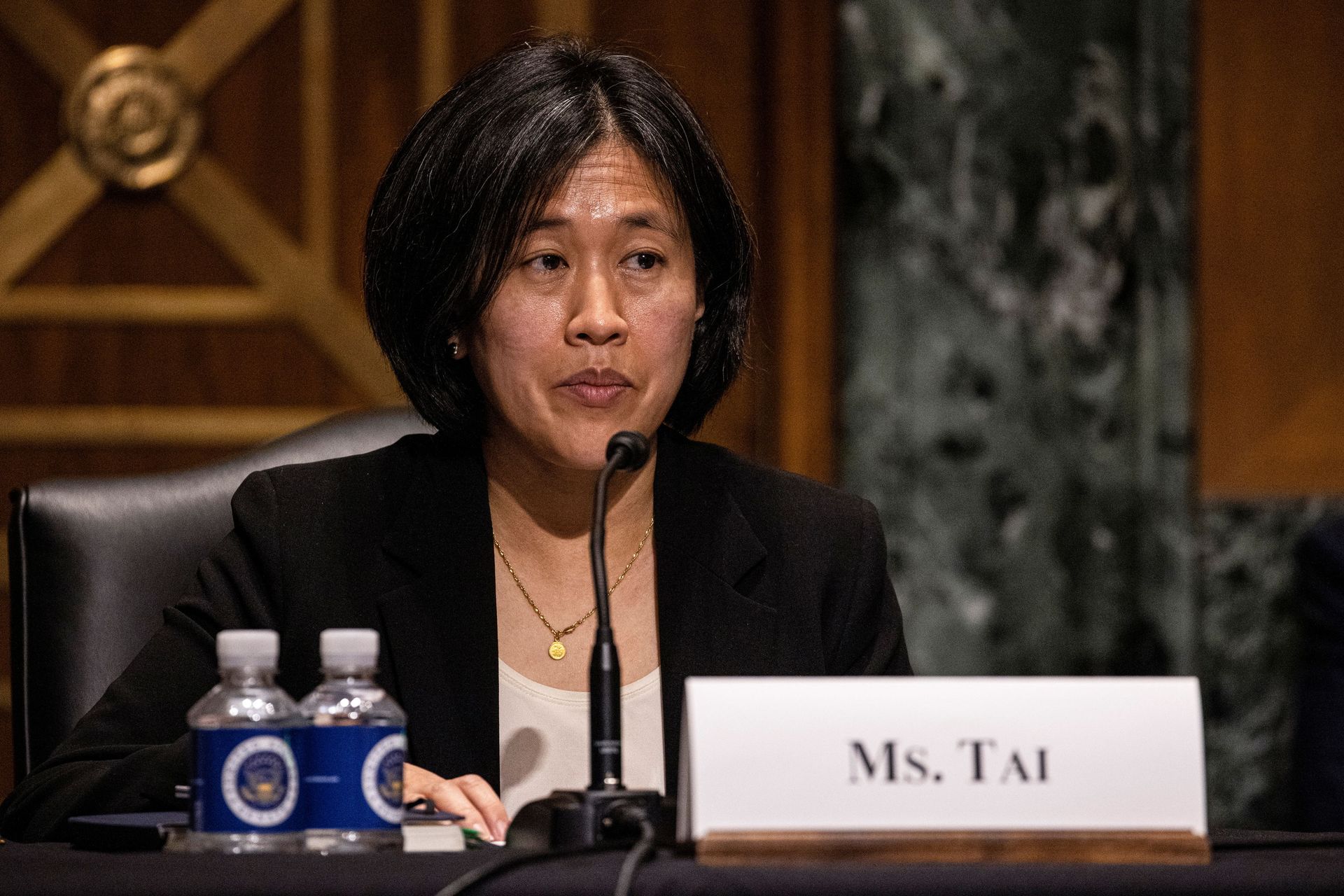 US Senate Unanimously Confirms Vocal Beijing Critic Katherine Tai as US Trade Representative US Senate Unanimously Confirms Vocal Beijing Critic Katherine Tai as US Trade Representative - Sputnik International, 1920, 17.03.2021