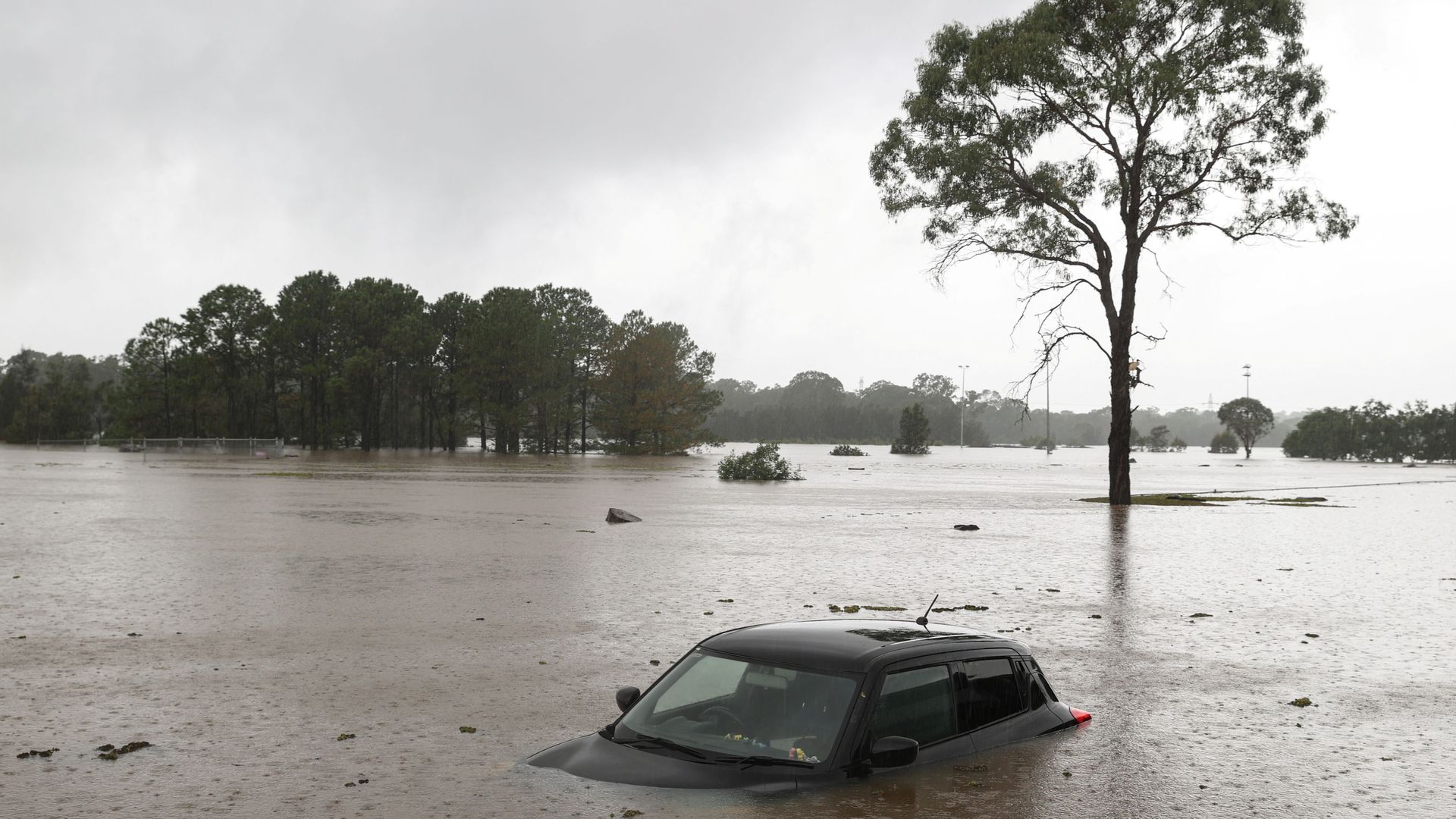 A partially submerged car is seen abandoned in floodwaters in the suburb of Windsor as the state of New South Wales experiences widespread flooding and severe weather, in Sydney, Australia, March 22, 2021 A partially submerged car is seen abandoned in floodwaters in the suburb of Windsor as the state of New South Wales experiences widespread flooding and severe weather, in Sydney, Australia, March 22, 2021 - Sputnik International, 1920, 22.03.2021