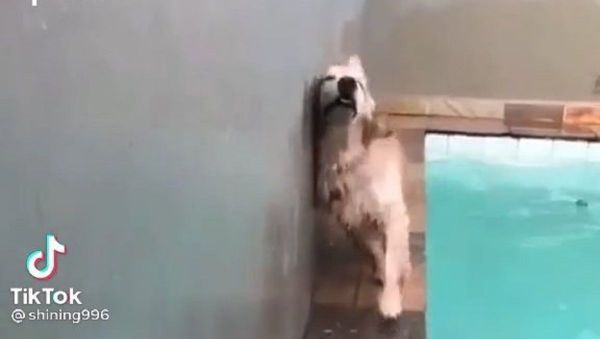 I dont want to FALL in the pool.. - Sputnik International