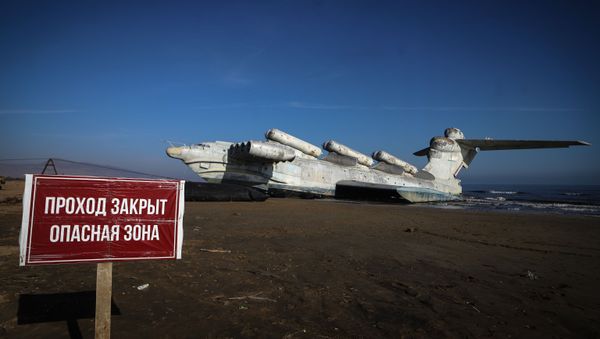The MD-160 Lun-class ekranoplan on the Black Sea shore after being towed to be a part of the Patriots Park in the Republic of Dagestan, Russia.  - Sputnik International