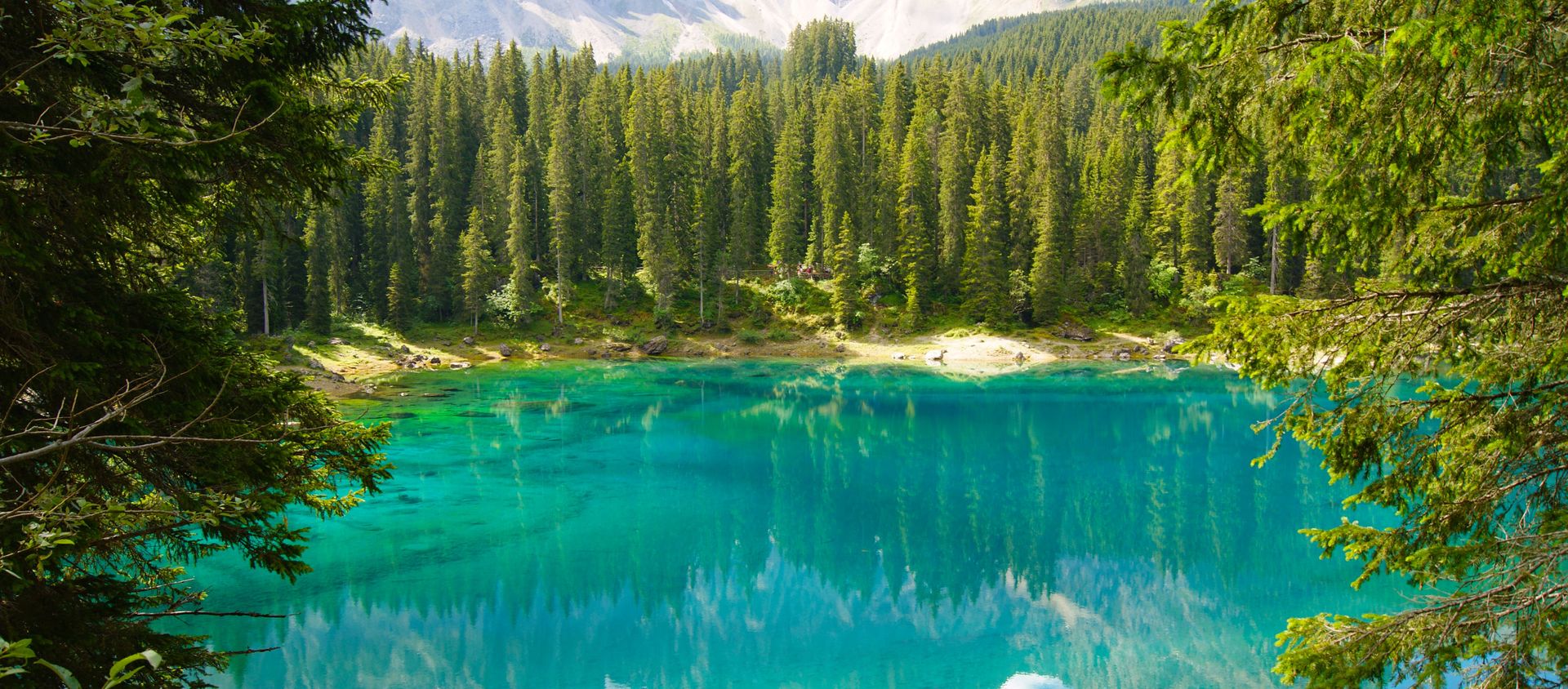 Listen to Sounds of Nature, Immerse Yourself In Stress-Relieving Noises - Sputnik International, 1920, 24.03.2021
