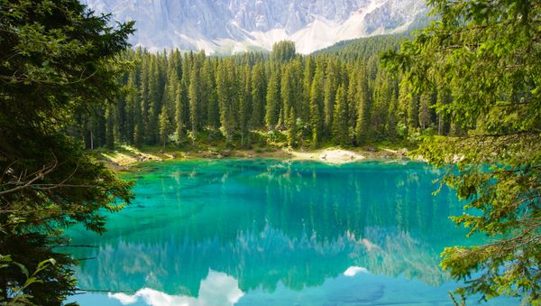 Listen to Sounds of Nature, Immerse Yourself In Stress-Relieving Noises - Sputnik International