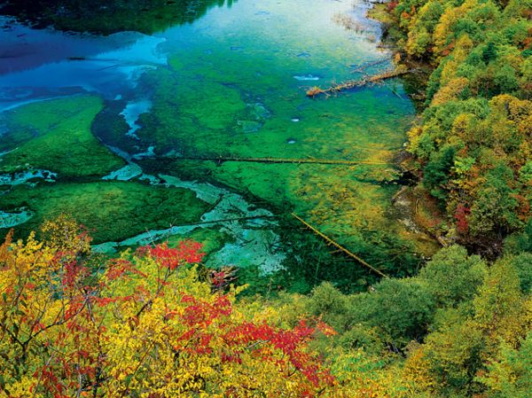 Listen to Sounds of Nature, Immerse Yourself In Stress-Relieving Noises - Sputnik International