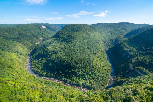 Listen to Sounds of Nature, Immerse Yourself In Stress-Relieving Noises - Sputnik International