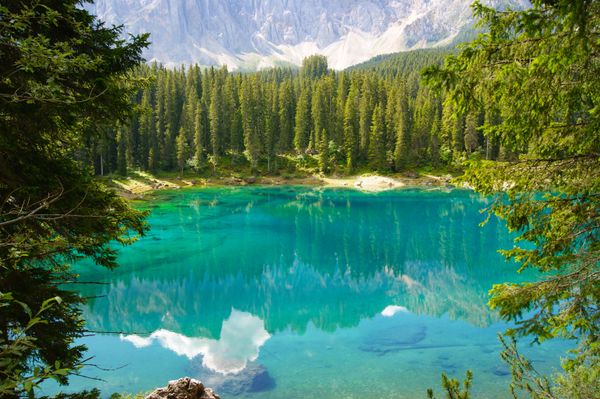 Listen to Sounds of Nature, Immerse Yourself In Stress-Relieving Noises  - Sputnik International