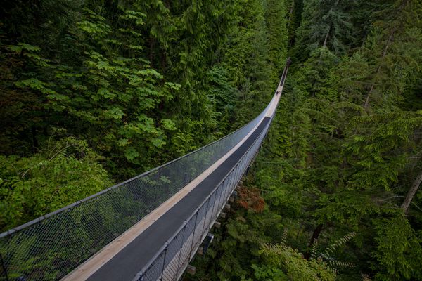Listen to Sounds of Nature, Immerse Yourself In Stress-Relieving Noises  - Sputnik International
