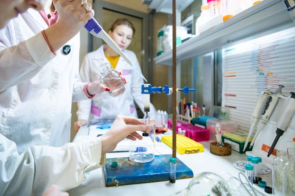 Ultra-Precise Microthermometers From Russia Will Increase Effectiveness of Cancer Therapy Ultra-Precise Microthermometers From Russia Will Increase Effectiveness of Cancer Therapy - Sputnik International