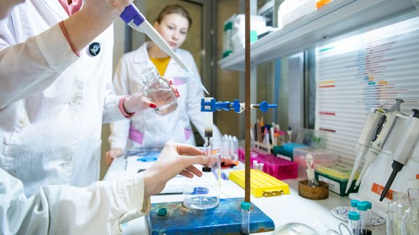 Ultra-Precise Microthermometers From Russia Will Increase Effectiveness of Cancer Therapy - Sputnik International