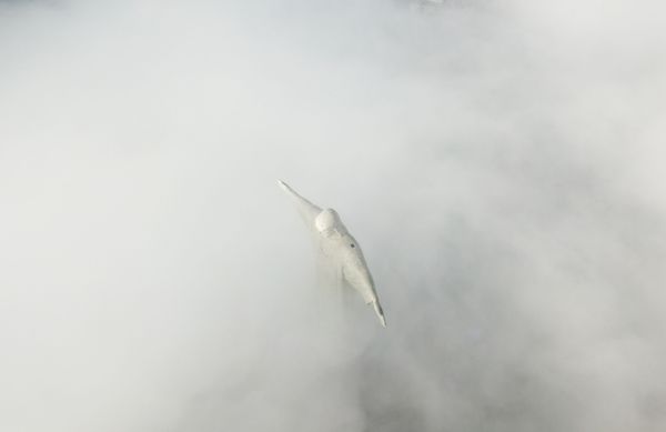 Rising High Above The Clouds: Restoration of the Christ the Redeemer Statue in Brazil Rising High Above The Clouds: Restoration of the Christ the Redeemer Statue in Brazil - Sputnik International