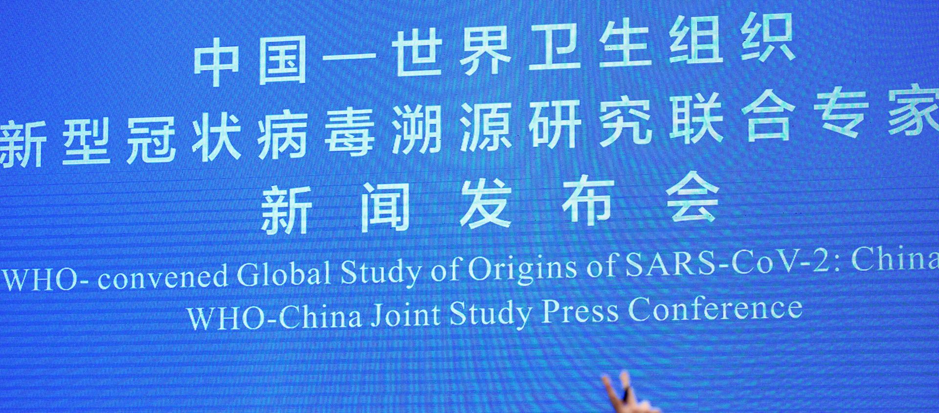 Peter Ben Embarek, a member of the World Health Organization (WHO) team tasked with investigating the origins of the coronavirus disease (COVID-19), attends the WHO-China joint study news conference at a hotel in Wuhan, Hubei province, China February 9, 2021.  - Sputnik International, 1920, 30.03.2021
