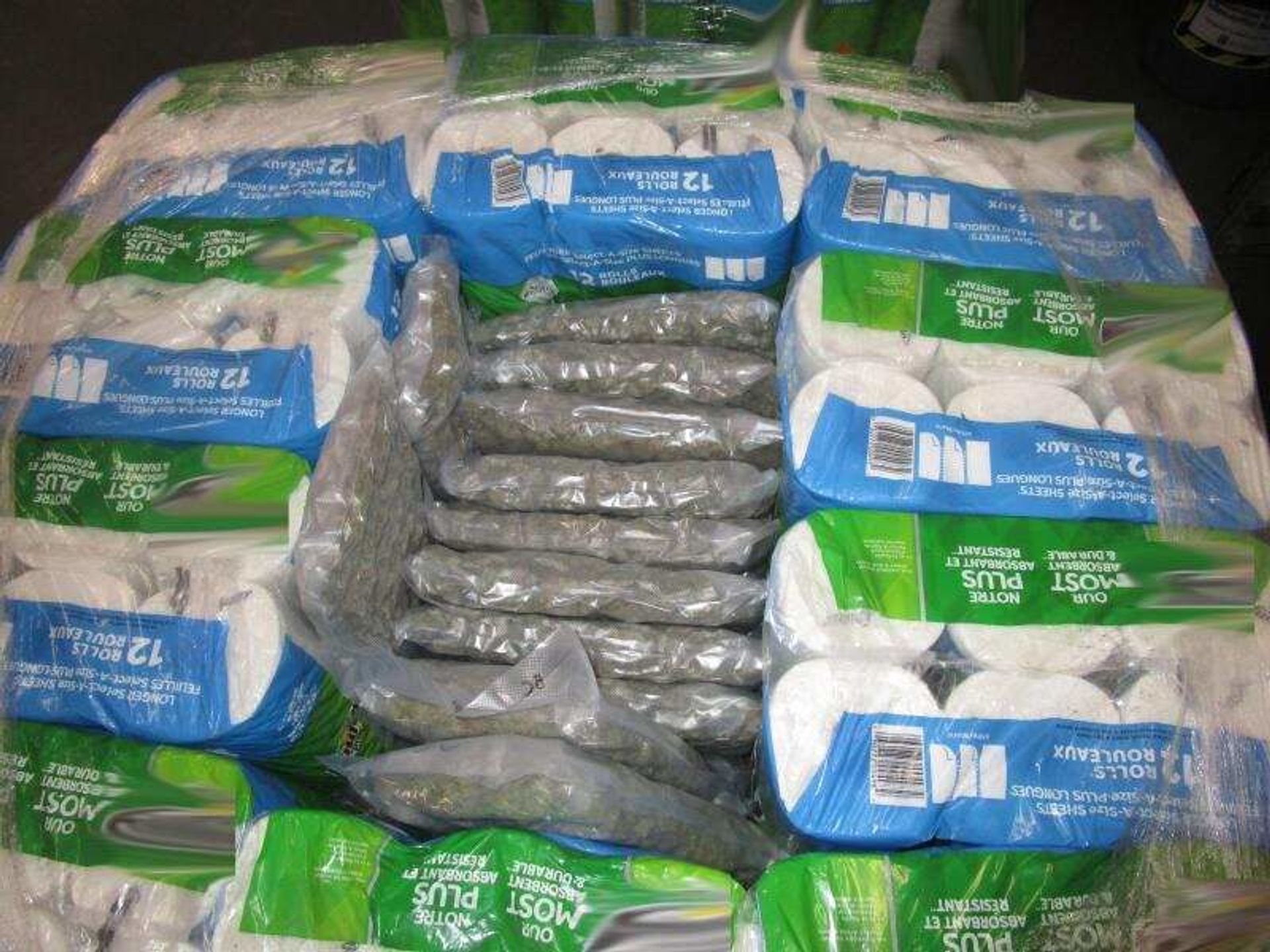 That's a Wrap: CBP Canine Sniffs Out $60K Worth of Fentanyl Stuffed in Burritos - Photo That's a Wrap: CBP Canine Sniffs Out $60K Worth of Fentanyl Stuffed in Burritos - Photo - Sputnik International, 1920, 31.03.2021